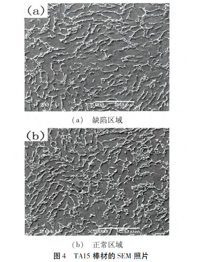 1626339945952830.jpg 5.jpg