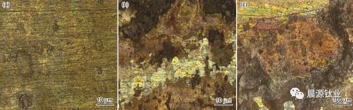 图3 周浸侵蚀尝试后3组试样中的316L不锈钢表表描摹g