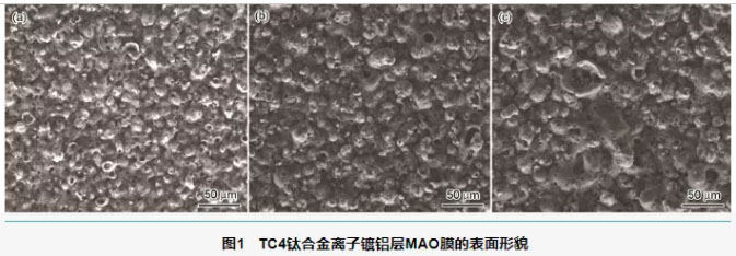 TC4钛合金离子镀铝后MAO膜的表表描摹