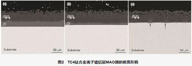 TC4钛合金离子镀铝层MAO膜的截面描摹