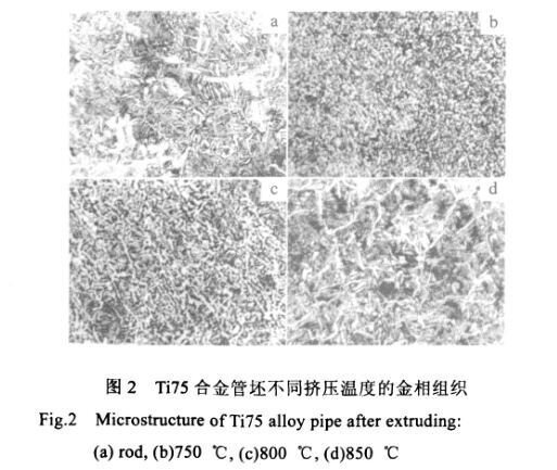Ti75合金管坯分歧挤压温度的金相组织
