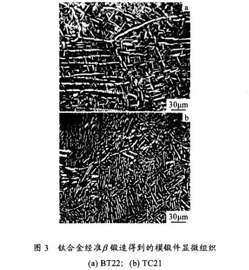 钛合金经β铸造造得到模锻件显微组织