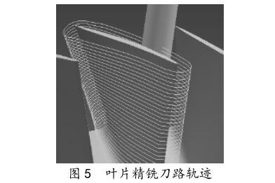 叶片精铣刀路轨迹