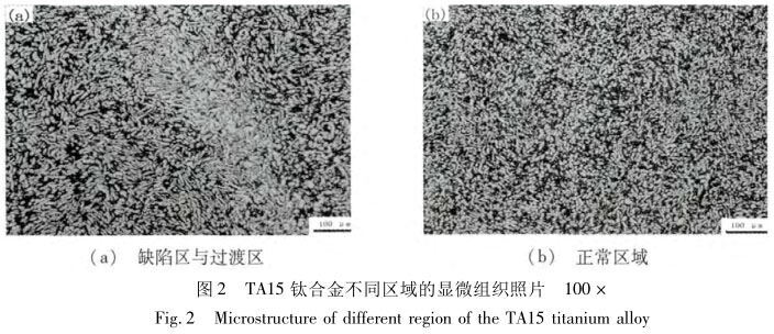 TA15钛合金分歧区域的显微组织照片