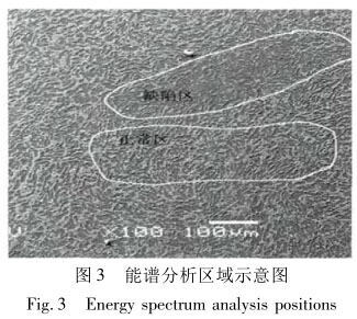 能谱分析区域示意图