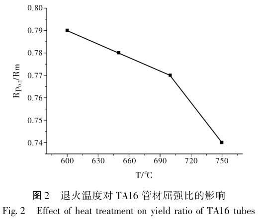 t2.jpg