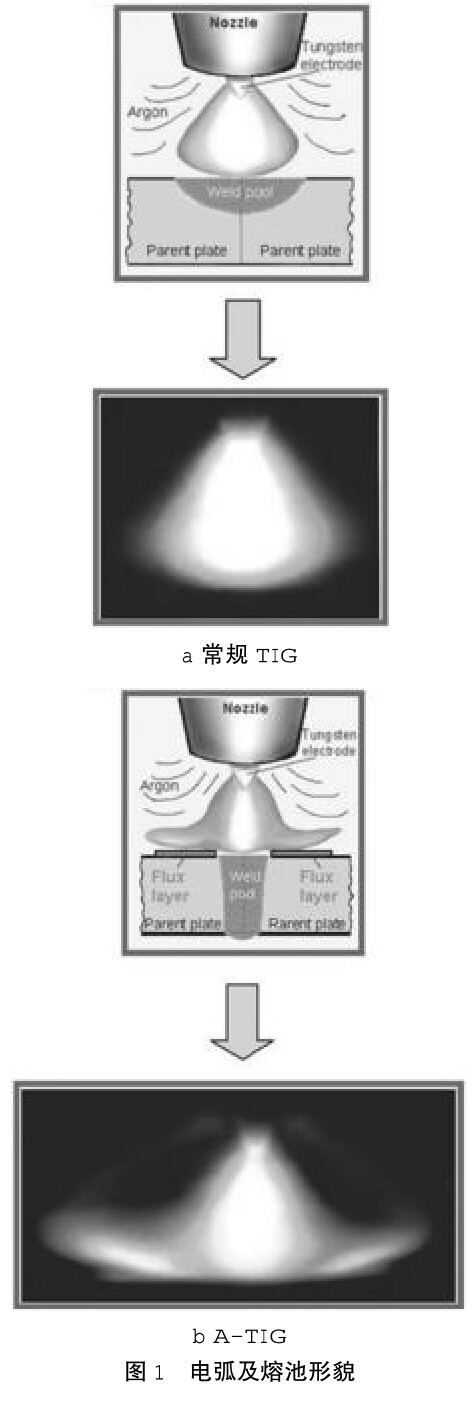 t1.jpg