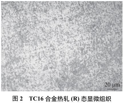 1688356810403242.jpg 360截图166206098982128.jpg