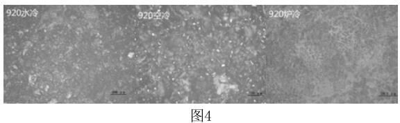 360截图16230315204326.jpg