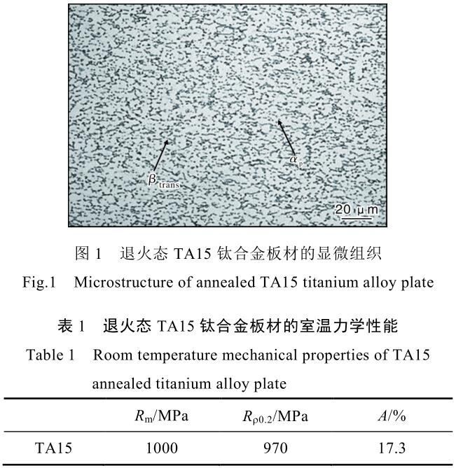 t1-b1.jpg