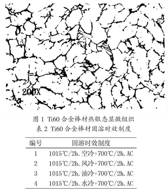 t1-b2.jpg