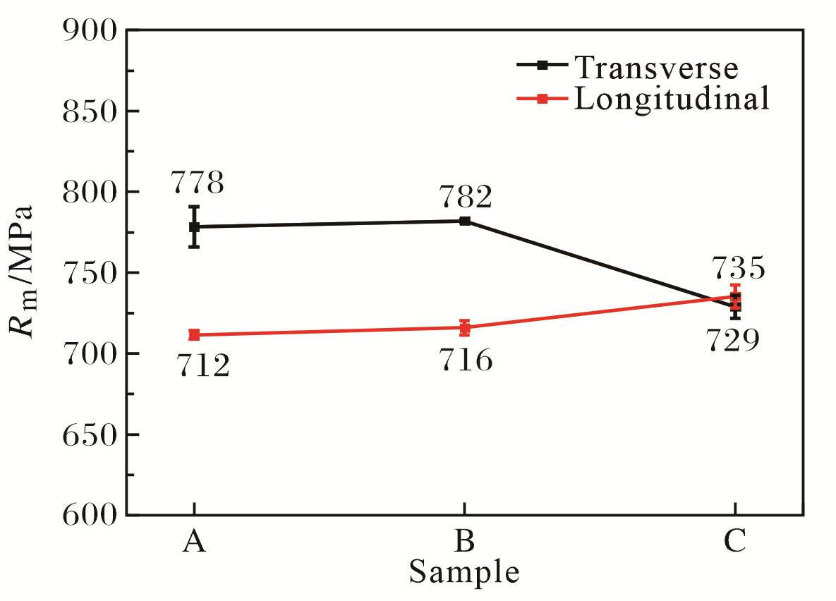 t3.jpg