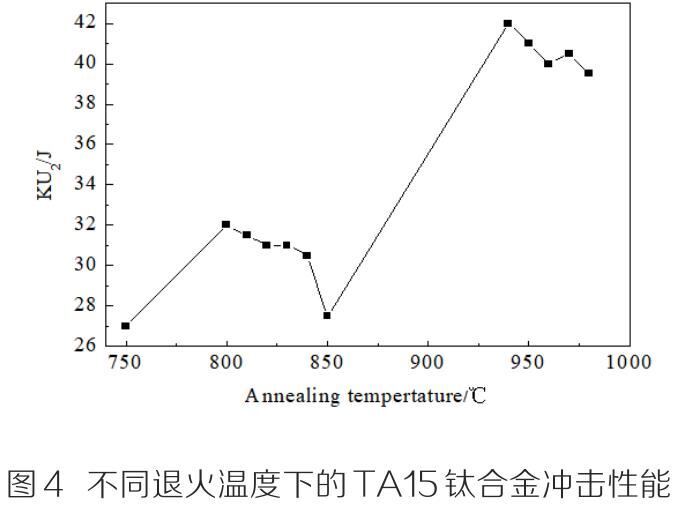 t4.jpg