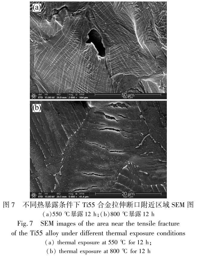 未标题-7.jpg