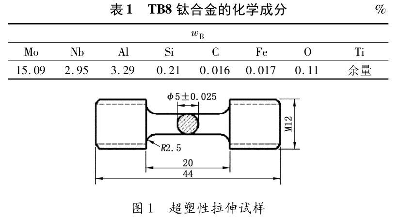 b1-t1.jpg