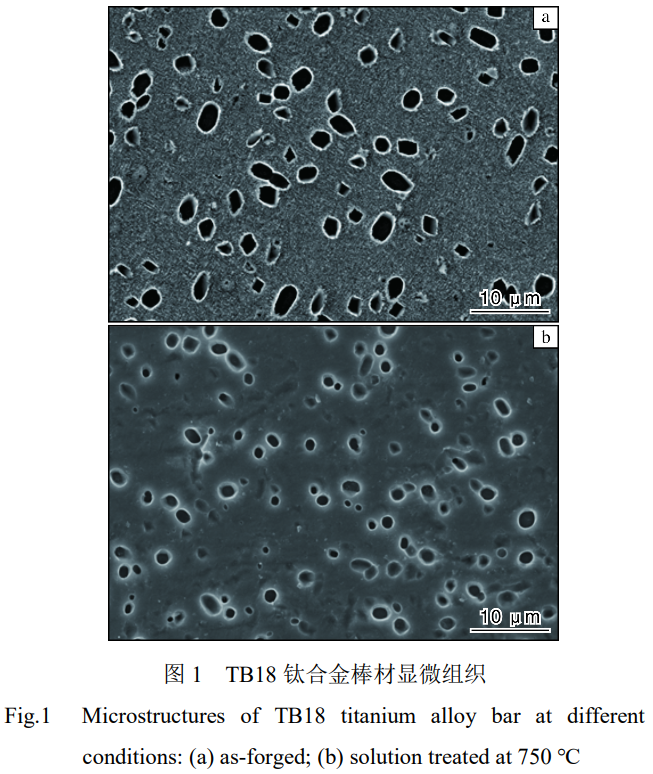 截图20250330112220.png