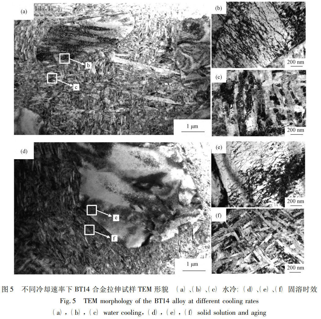 未标题-2.jpg