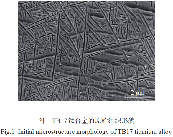1776758577637704.png 1.png